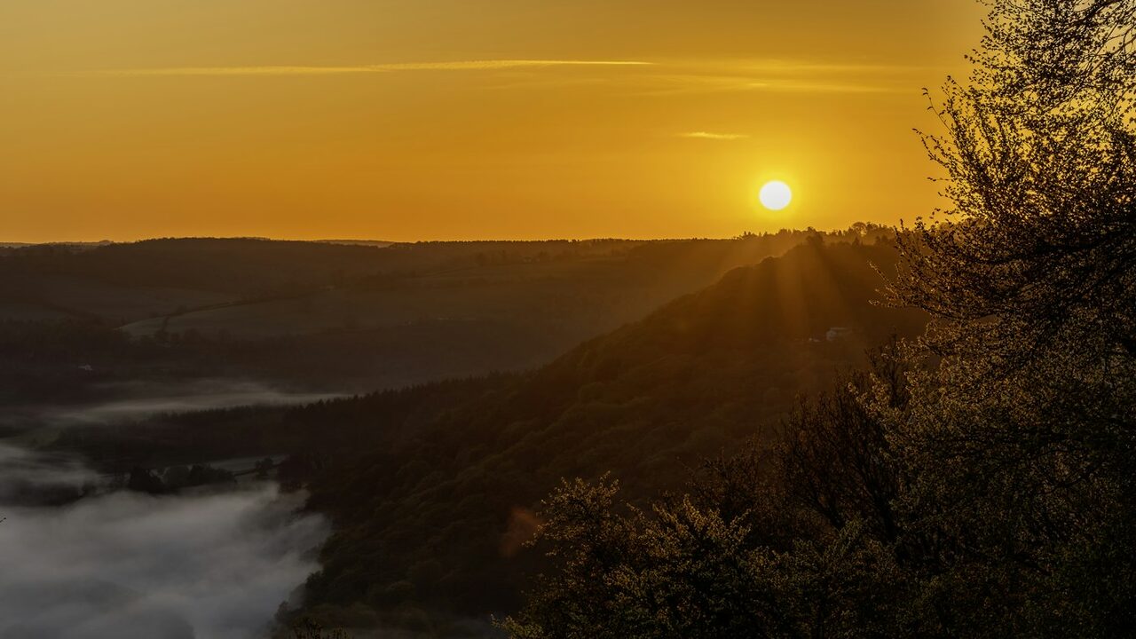 Golden sunrise over misty hills and forest.